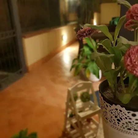 住宿加早餐酒店 Dimoramuri 3*